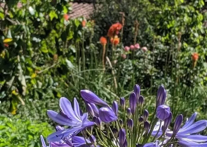 Ccatan Urubamba